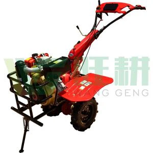 8.8HP attrezzo ingranaggio guidato Diesel con Kama famoso marchi motore